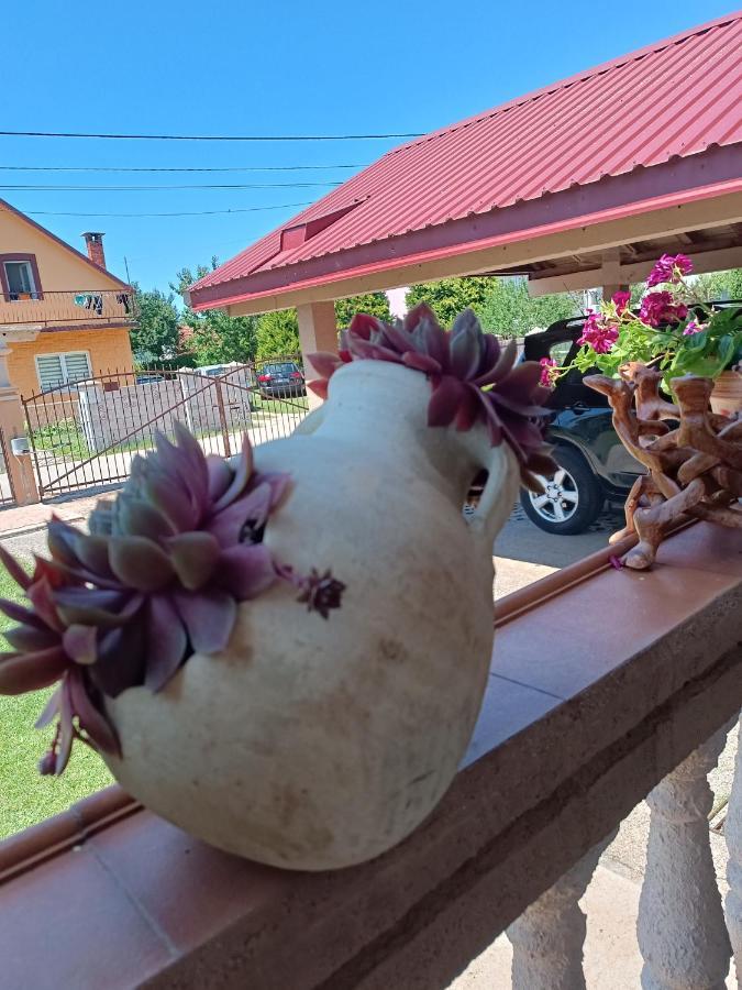 Apartamento Calm Nest Nikšić Exterior foto