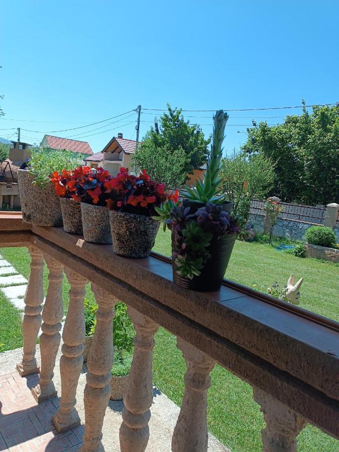 Apartamento Calm Nest Nikšić Exterior foto