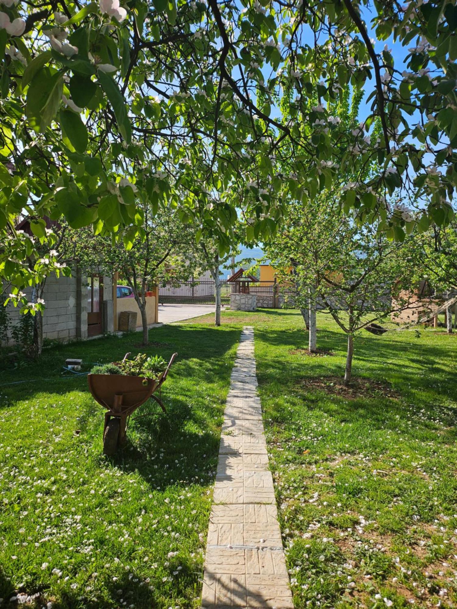 Apartamento Calm Nest Nikšić Exterior foto